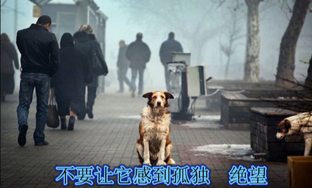 长治爱影圈微博微信转发案例